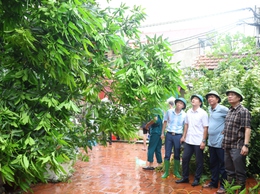 Đồng chí Bí Thư Đảng ủy xã kiểm tra công tác phòng, chống, khắc phục hậu quả cơn bão số 5