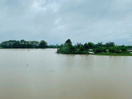 Hoài Đức chủ động ứng phó, giảm thiểu thiệt hại do bão số 5 gây ra