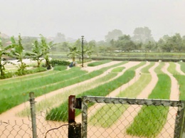 Cập nhật nhanh tình hình ứng phó với thiên tai do ảnh hưởng của cơn bão số 5 trên địa bàn xã Phúc Thọ