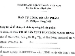 Bản tự công bố sản phẩm số 13/Mạnh Hùng/2025