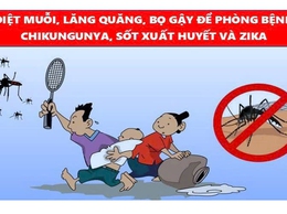 Hà Nội tăng cường phòng, chống bệnh Chikungunya