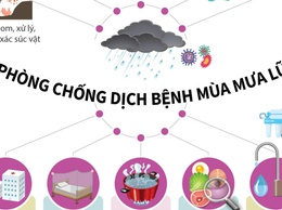 Phòng chống dịch bệnh sau mùa bão trên địa bàn xã Nam Phù