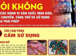 Hoài Đức phát động phong trào thi đua tuyên truyền, vận động giao nộp và đấu tranh với tội phạm, vi phạm pháp luật về vũ khí, vật liệu nổ, công cụ hỗ trợ