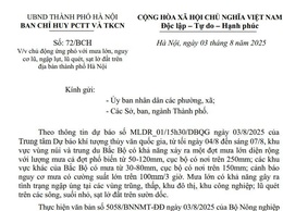 CHỦ ĐỘNG ỨNG PHÓ VỚI MƯA LỚN, NGUY CƠ LŨ, NGẬP LỤT, LŨ QUÉT, SẠT LỞ ĐẤT TRÊN ĐỊA BÀN THÀNH PHỐ