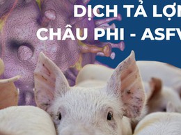 MỘT SỐ HÀNH VI VI PHẠM TRONG CHĂN NUÔI
