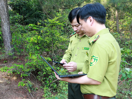 Hà Nội phê duyệt 31 Quy trình nội bộ, Quy trình điện tử giải quyết thủ tục hành chính lĩnh vực Lâm nghiệp và Kiểm lâm