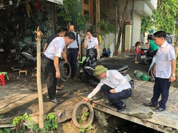 Tiếp tục tăng cường công tác phòng chống bệnh sốt xuất huyết