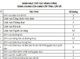 DANH MỤC THỦ TỤC HÀNH CHÍNH DÙNG CHUNG CỦA UBND CẤP TỈNH, CẤP XÃ