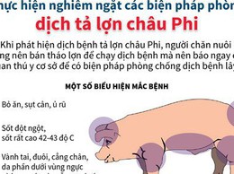 Chủ động phòng bệnh Dịch tả lợn Châu Phi để bảo vệ đàn vật nuôi, bảo vệ môi trường và bảo đảm an toàn thực phẩm cho cộng đồng