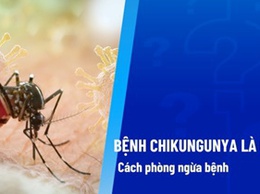 UBND xã Hoài Đức tăng cường công tác phòng, chống bệnh Chikungunya