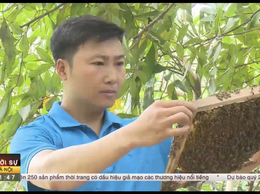 Mật ong hoa Nhãn Tuấn Minh- Sản phẩm OCOP 3 sao.
