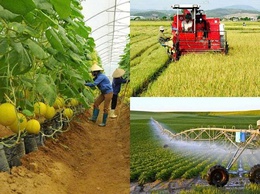 Hà Nội phê duyệt 06 Quy trình nội bộ, Quy trình điện tử trong giải quyết thủ tục hành chính lĩnh vực Trồng trọt