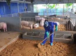 Chủ động chăn nuôi an toàn sinh học, phòng chống dịch bệnh trên địa bàn