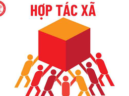 DANH SÁCH HỢP TÁC XÃ ĐĂNG KÝ THÁNG 8 NĂM 2025