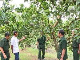 Gương sáng Cựu chiến binh làm kinh tế giỏi