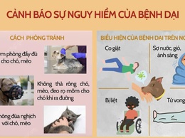Tuyệt đối không chủ quan với bệnh dại