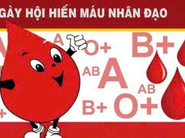 Hiến máu nhân đạo góp phần cứu sống hàng nghìn bệnh nhân đang cần máu mỗi ngày
