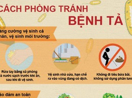 UBND xã Hưng Đạo tăng cường phòng, chống bệnh Tả trên địa bàn