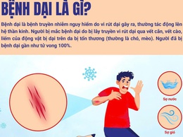 CẢNH GIÁC VỚI BỆNH DẠI: CĂN BỆNH NGUY HIỂM NHƯNG CÓ THỂ PHÒNG NGỪA