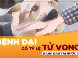 Ngành y tế Hà Nội: Tổ chức các hoạt động hưởng ứng Ngày thế giới phòng chống bệnh dại