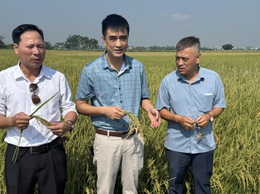 UBND XÃ DÂN HÒA TỔ CHỨC HỘI NGHỊ ĐÁNH GIÁ NĂNG SUẤT LÚA VỤ MÙA NĂM 2025