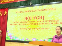 Sơn Đồng chuẩn bị triển khai tổng điều tra kinh tế năm 2026