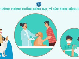 Bệnh dại và cách phòng ngừa