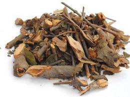 Phường Thanh Liệt khuyến cáo người dân không sử dụng dược liệu Tang ký sinh không đạt chất lượng