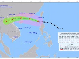 Tin bão khẩn cấp