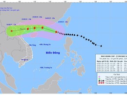 Ứng Hoà chủ động ứng phó, hạn chế thiệt hại do bão siêu bão Ragasa và mưa lớn trên địa bàn.