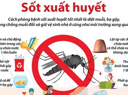 Hoài Đức tiếp tục tăng cường biện pháp phòng, chống dịch sốt xuất huyết