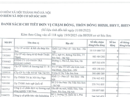 BẢO HIỂM XÃ HỘI SÓC SƠN CÔNG KHAI DANH SÁCH ĐƠN VỊ CHẬM ĐÓNG, TRỐN ĐÓNG BHXH