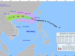 Thanh Oai chủ động ứng phó với diễn biến cơn bão số 9 (bão RAGASA)