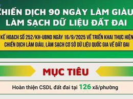 Phường Hà Đông triển khai kế hoạch thực hiện làm giàu, làm sạch cơ sở dữ liệu đất đai trên địa bàn