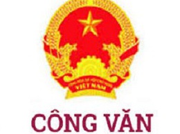 Chủ động ứng phó với diễn biến cơn bão số 8 gây ảnh hưởng trên địa bàn phường Bạch Mai