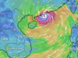 Phường Tây Hồ: Chủ động, tập trung triển khai công tác ứng phó siêu bão Ragasa, đảm bảo an toàn tính mạng và tài sản Nhân dân
