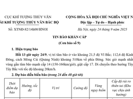 Tin bão khẩn cấp (cơn bão số 9)