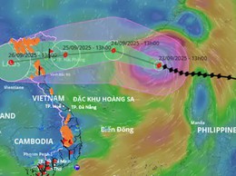 Công văn số 88-CV/ĐU ngày 24/9/2025 của Đảng ủy phường Bạch Mai 