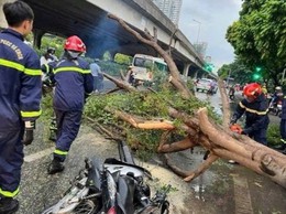 Phường Giảng Võ: Đảm bảo an toàn tuyệt đối cho người dân khi bão số 9 đổ bộ