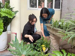Chủ động các biện pháp vệ sinh môi trường và phòng chống dịch bệnh trước, trong và sau mùa mưa bão