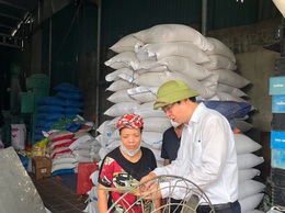 Giám sát chặt chẽ các ổ dịch sốt xuất huyết