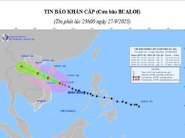 Tin bão khẩn cấp (cơn bão BUALOI)