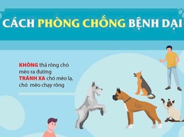 Tuyên truyền phòng, chống bệnh dại tại xã Nam Phù