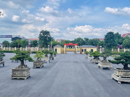 Hội Nông dân xã Phúc Thọ sẵn sàng cho Đại hội đại biểu Hội Nông dân xã lần thứ Nhất, nhiệm kỳ 2025–2030