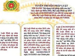 Xử lý hình sự đối với hành vi sử dụng trái phép chất ma túy - Bước chuyển quan trọng trong chiến lược đấu tranh phòng, chống tội phạm và tệ nạn ma túy.