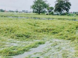 Cập nhật tình hình ứng phó với cơn bão số 10 trên địa bàn xã Phúc Thọ
