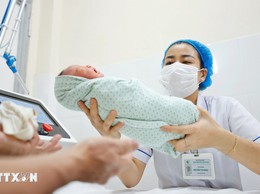 Chính thức áp dụng hàng loạt quy định mới về mang thai hộ, sinh con bằng IVF từ 1-10