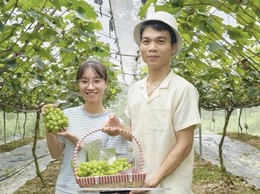 Anh Kiều Văn Tuyên - Tấm gương nông dân dám nghĩ, dám làm ở xã Phúc Thọ