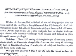 Hướng dẫn quy định về hồ sơ tham gia đấu giá hợp lệ