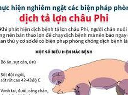 BÀI TUYÊN TRUYỀN PHÒNG, CHỐNG BỆNH DỊCH TẢ LỢN CHÂU PHI